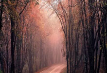 塞尔塔客场大胜尼斯，赢得四连胜