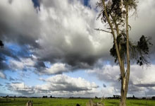 顽强抗战，球队成功夺得小组第一