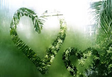 那不勒斯客场击败国米，领跑意甲领先优势