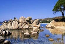 塞尔塔客场大胜尼斯，赢得四连胜