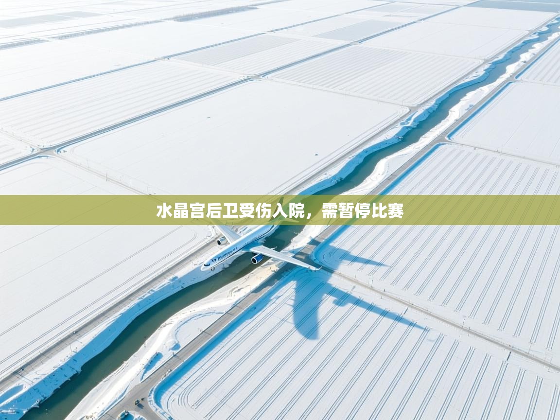 水晶宫后卫受伤入院，需暂停比赛  第2张