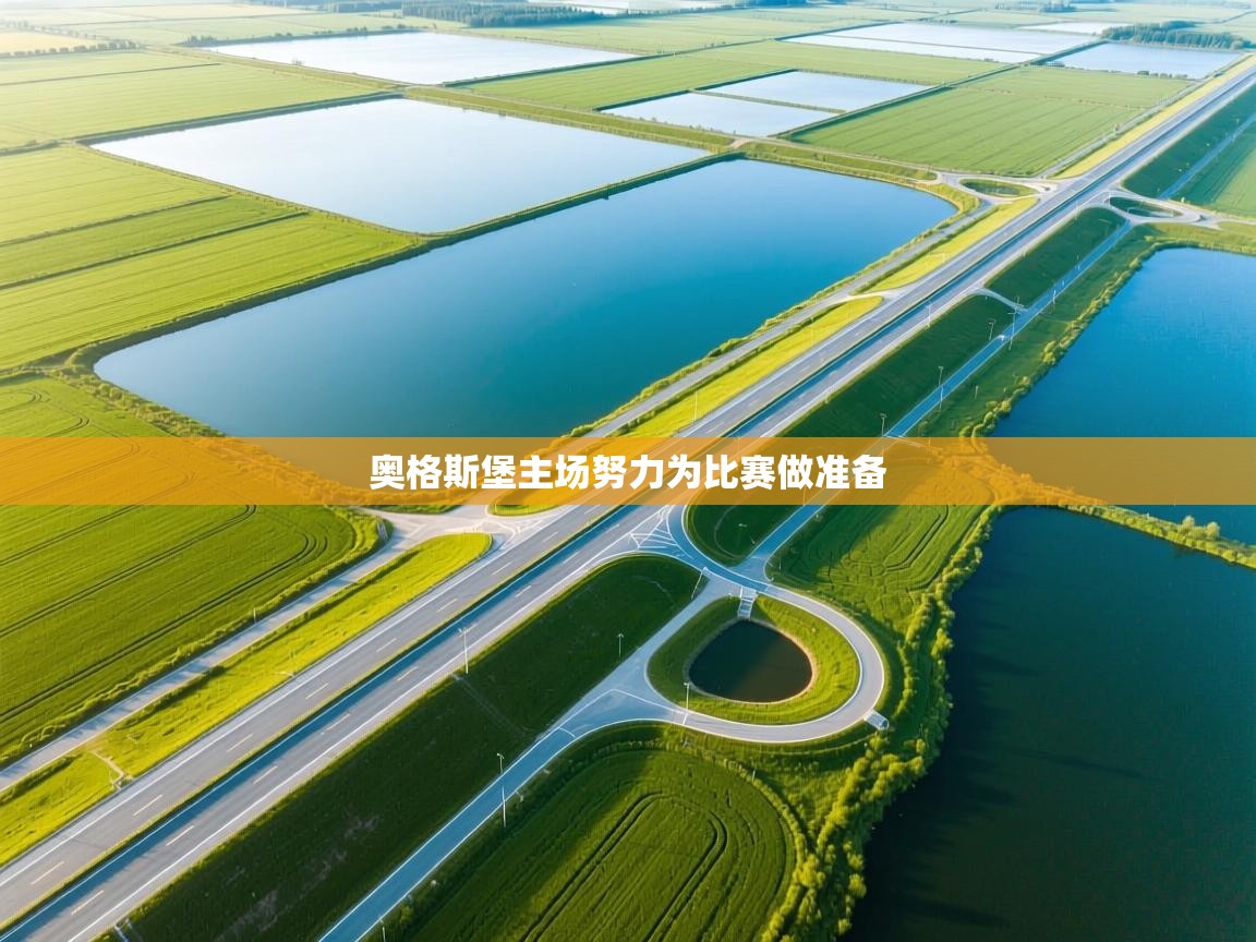 奥格斯堡主场努力为比赛做准备  第2张